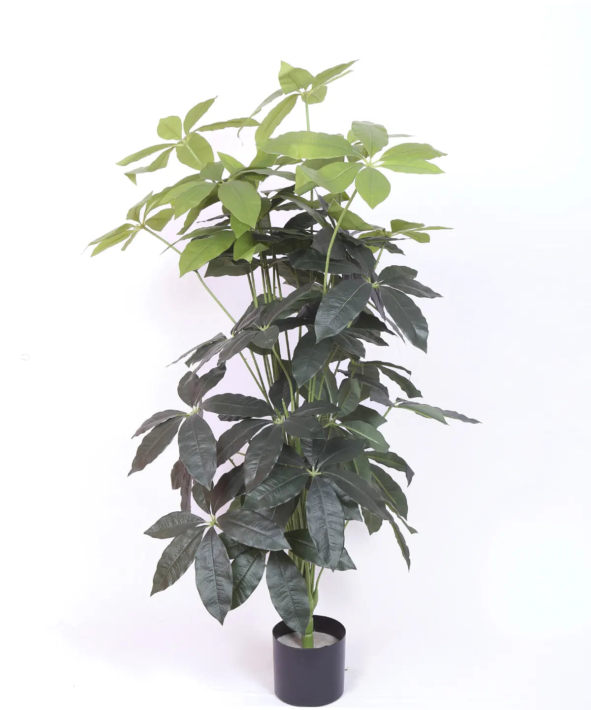 Artificial Midas Guiana Chestnut Plant with Basic Black Pot - 4 Feet 24 Green Leaves