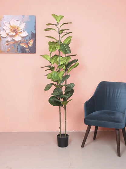 Artificial Evergreen Fiddle Leaf Fig Potted Plants Natural Faux Plants - 180 cm Tall