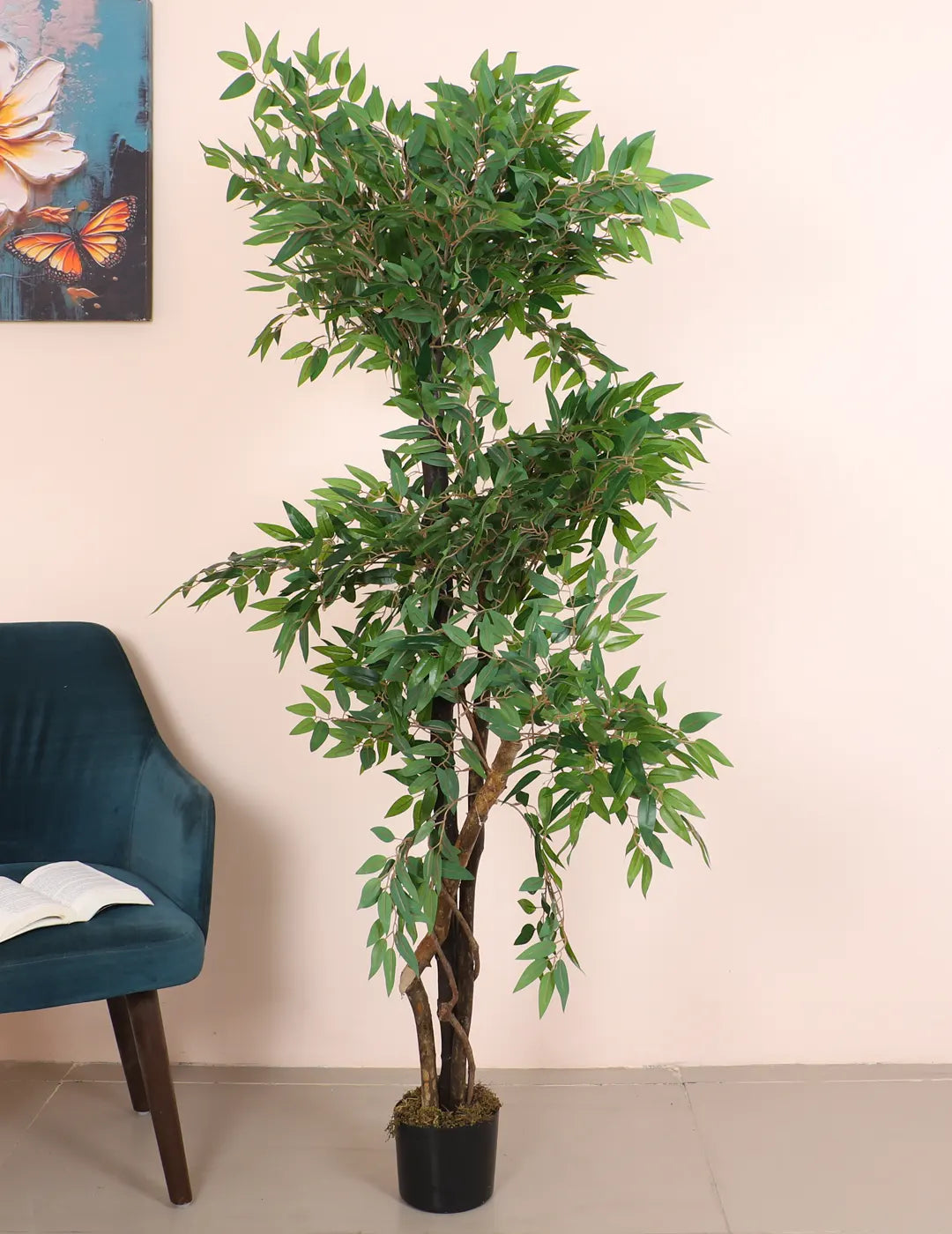 Artificial Midas Ruscus Lush Plant with Basic Black Pot - 6 Feet Tall