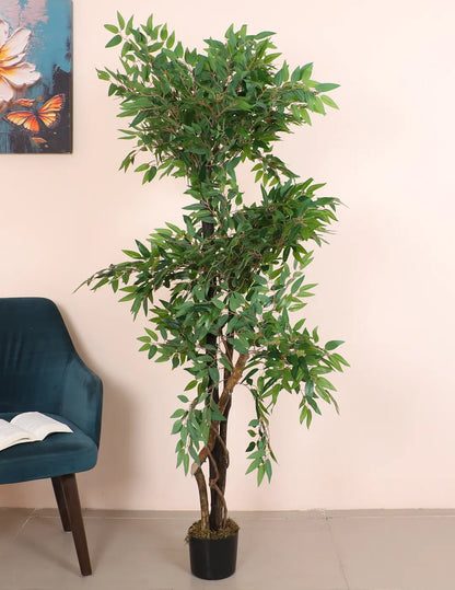 Artificial Midas Ruscus Lush Plant with Basic Black Pot - 6 Feet Tall