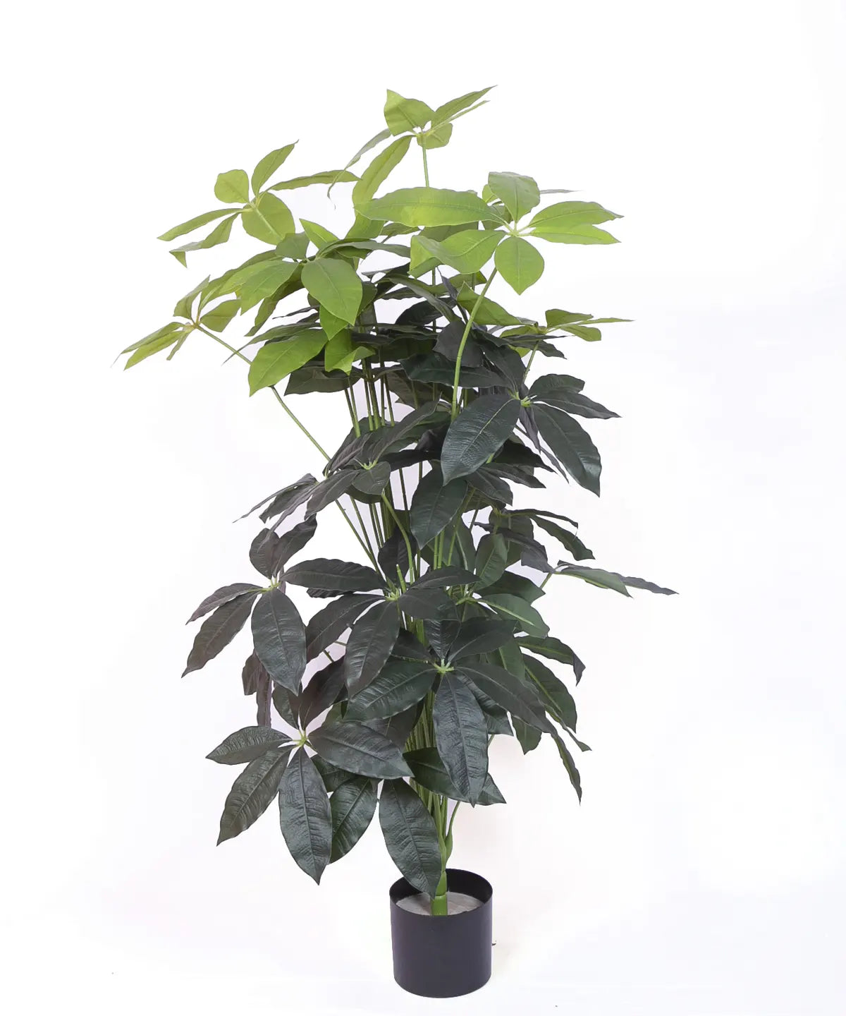 Artificial Midas Guiana Chestnut Plant with Basic Black Pot - 4 Feet 24 Green Leaves