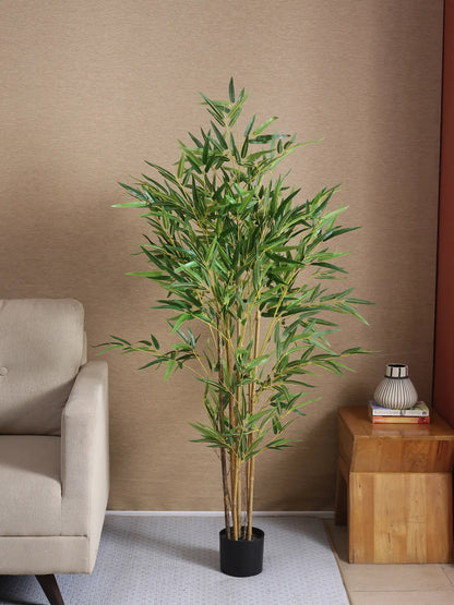 Artificial Bamboo Bliss Plant with Basic Black Pot - 5 feet Green