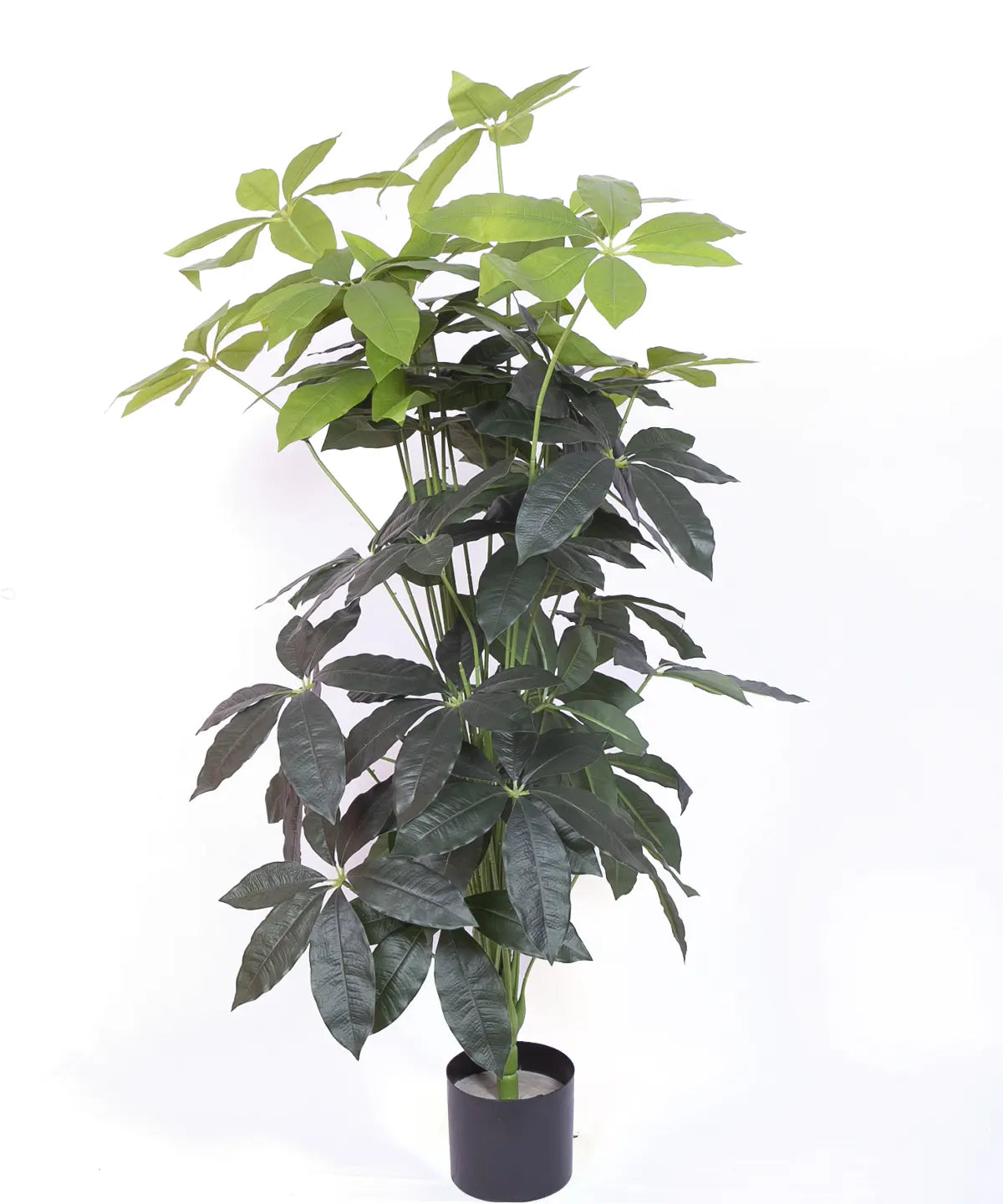 Artificial Midas Guiana Chestnut Plant with Basic Black Pot - 4 Feet 24 Green Leaves