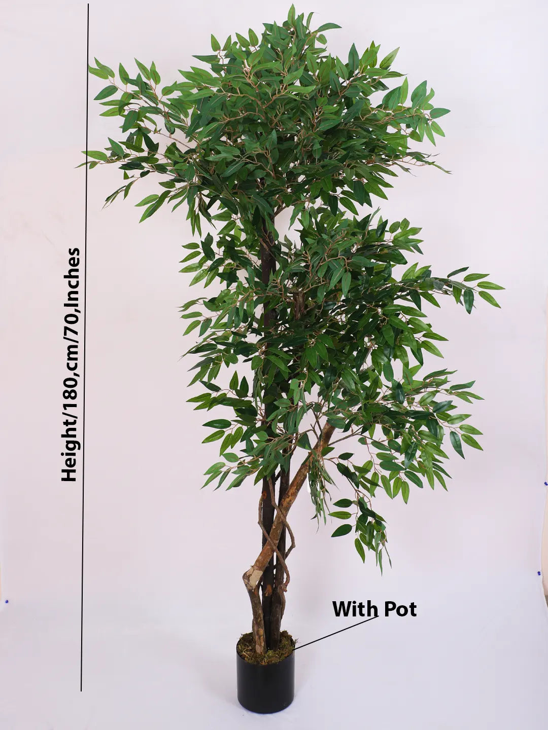 Artificial Midas Ruscus Lush Plant with Basic Black Pot - 6 Feet Tall