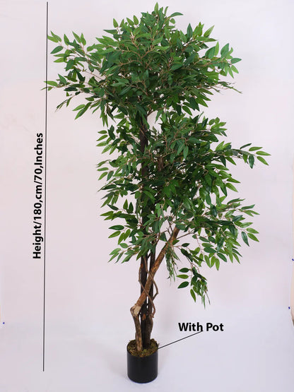 Artificial Midas Ruscus Lush Plant with Basic Black Pot - 6 Feet Tall