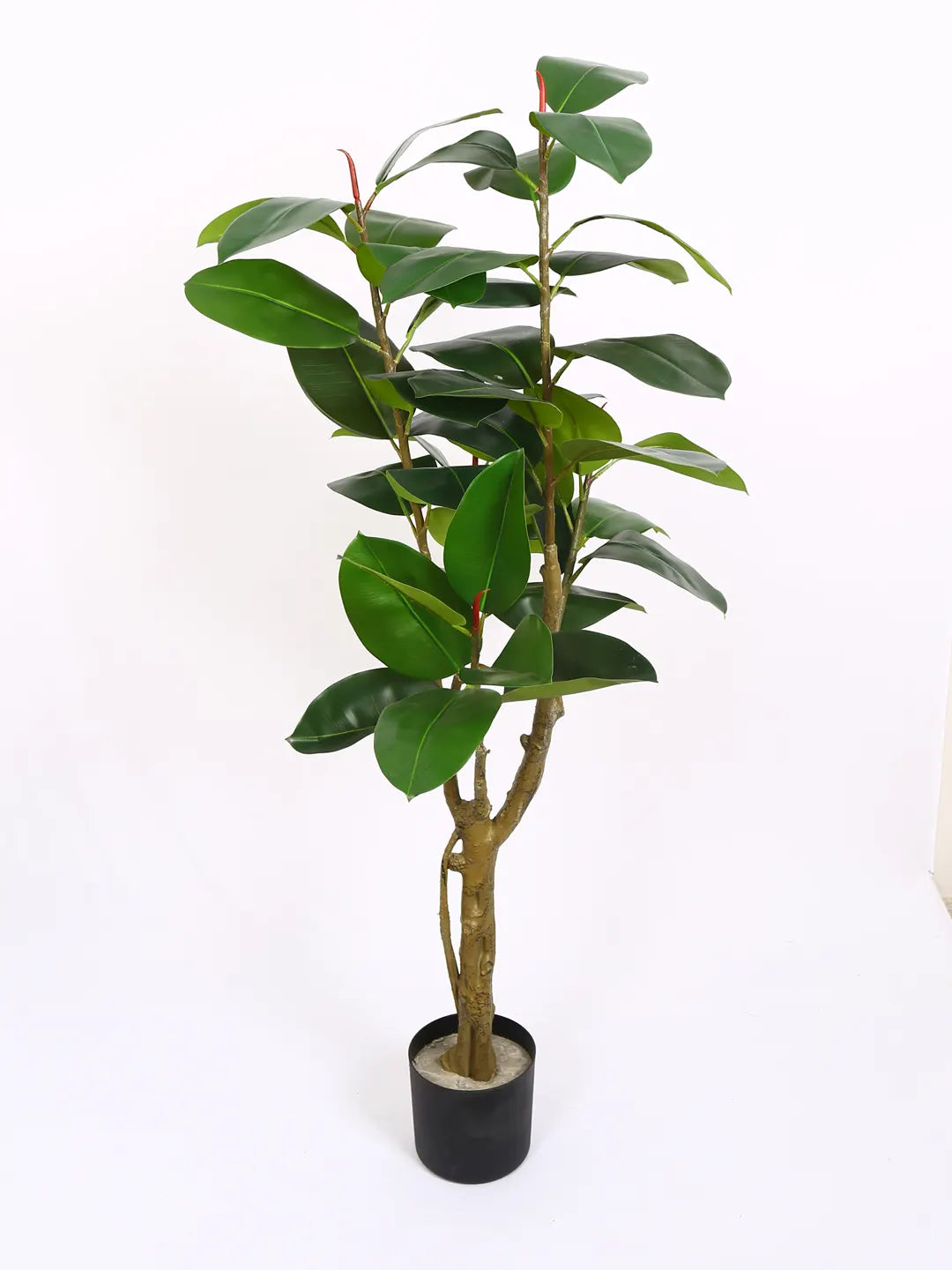 Artificial Leafy Rubber Plant with Basic Black Pot - 5 feet Green
