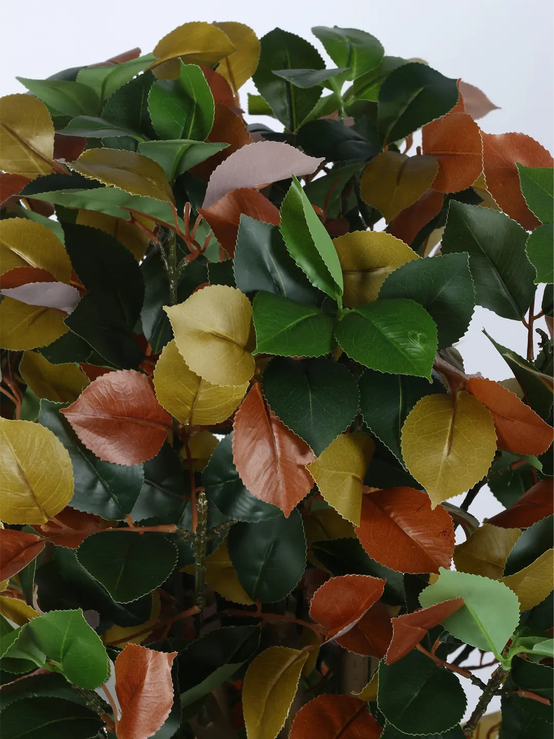 Artificial Multicolor Magnolia Grandiose Ficus Plant with Basic Black Pot - 4 Feet