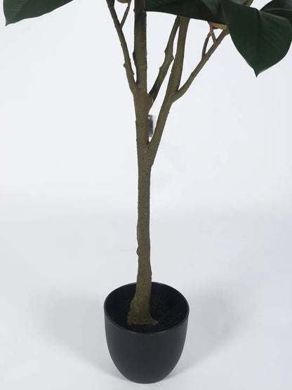 Artificial Magnolia Leaf Plant with Basic Black Pot - 140 cm Tall