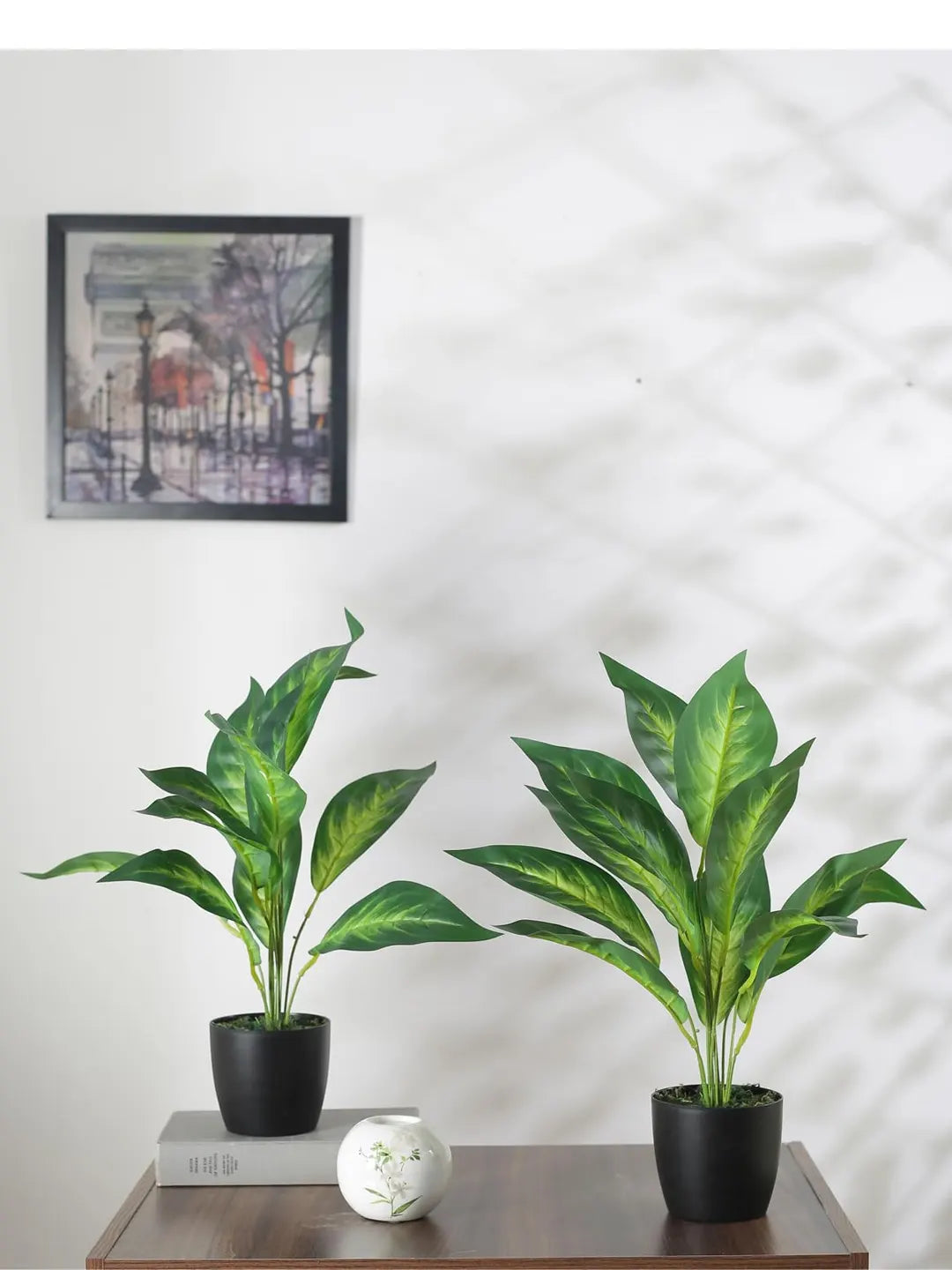 Artificial Green Dieffenbachia Plant (12 Leaves with Basic Black Pot 45 Cm Tall Pack of 2)