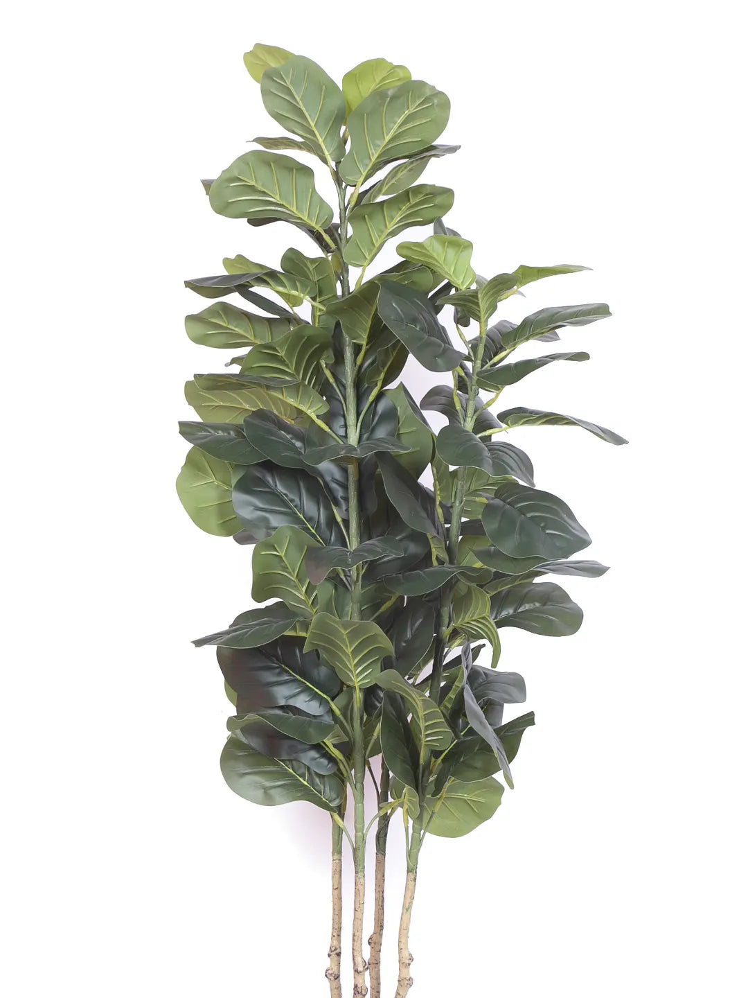 Artificial Evergreen Fiddle Leaf Fig Potted Plants Natural Faux Plants - 180 cm Tall