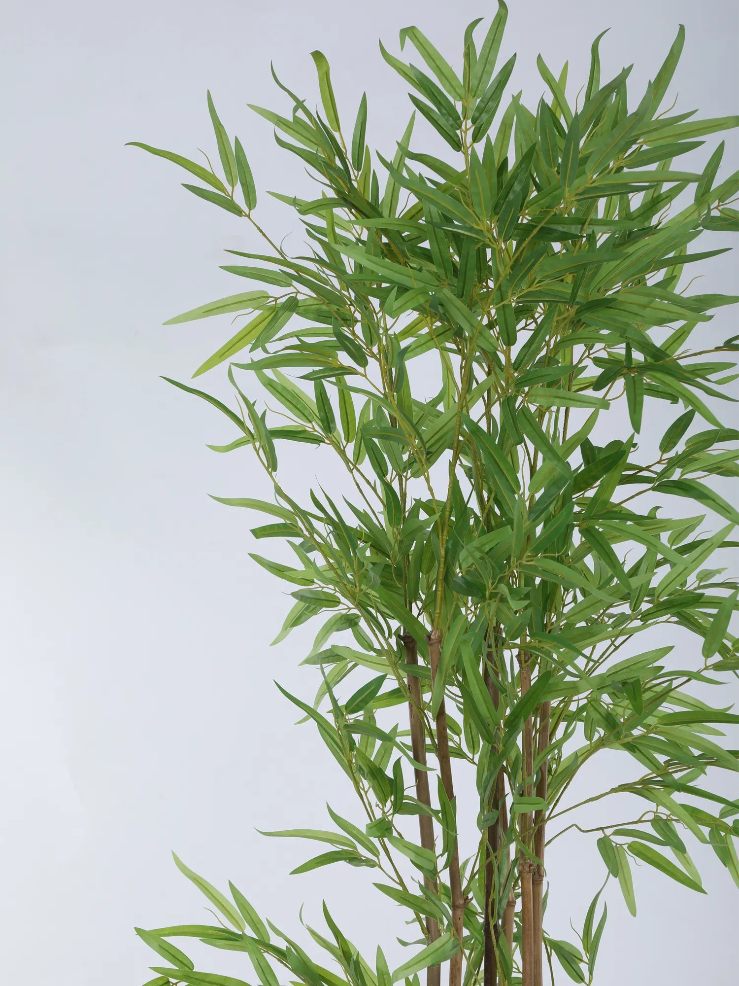Artificial Bamboo Bliss Plant with Basic Black Pot - 5.5 feet Green