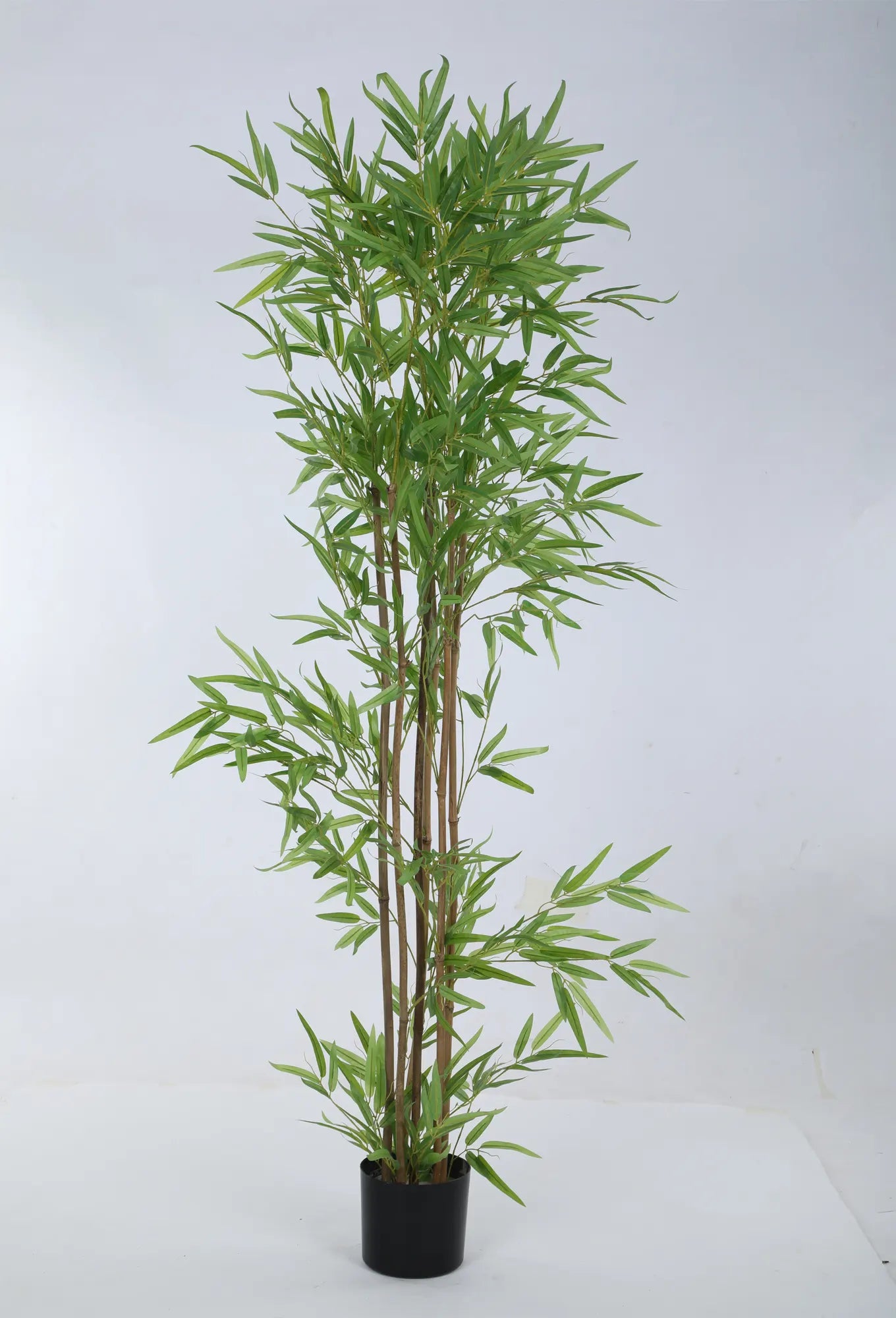 Artificial Bamboo Bliss Plant with Basic Black Pot - 5.5 feet Green