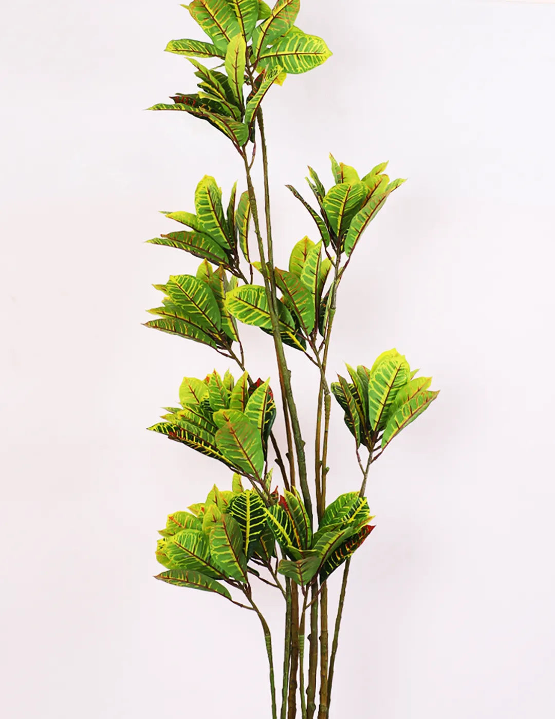 Artificial Multicolor Croton Grandiose Ficus Plant with Basic Black Pot - 6 Feet