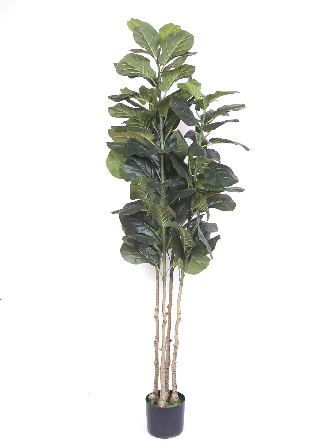 Artificial Evergreen Fiddle Leaf Fig Potted Plants Natural Faux Plants - 180 cm Tall