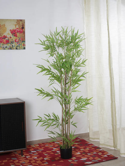 Artificial Bamboo Bliss Plant with Basic Black Pot - 5.5 feet Green