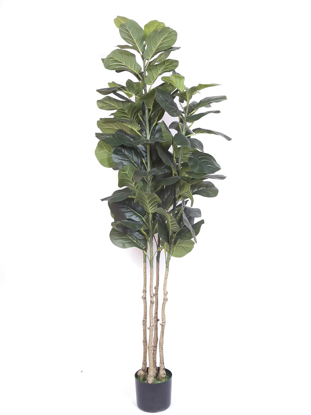 Artificial Evergreen Fiddle Leaf Fig Potted Plants Natural Faux Plants - 180 cm Tall