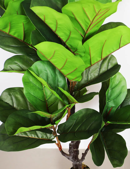 Artificial Fiddle Leaf Fig Plant with Basic Black Pot - 190 cm tall -Green