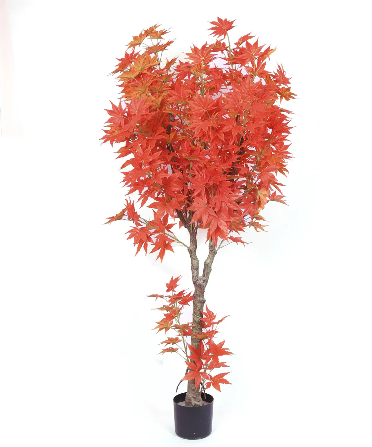 Artificial Dried Maple Plant with Basic Black Pot - 6 Feet Tall Orange Leaves
