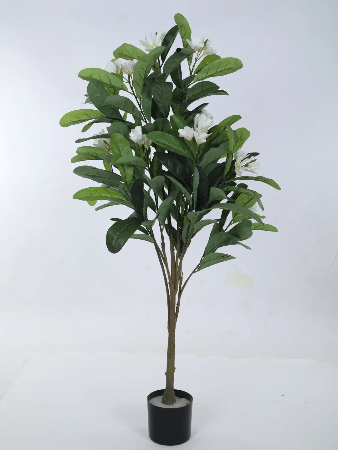 Artificial Frangipani Bloom Plant with Basic Black Pot - 4.5 Feet Green/White