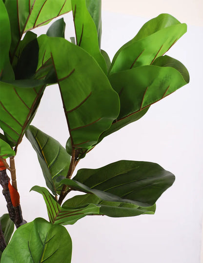 Artificial Fiddle Leaf Fig Plant with Basic Black Pot - 190 cm tall -Green
