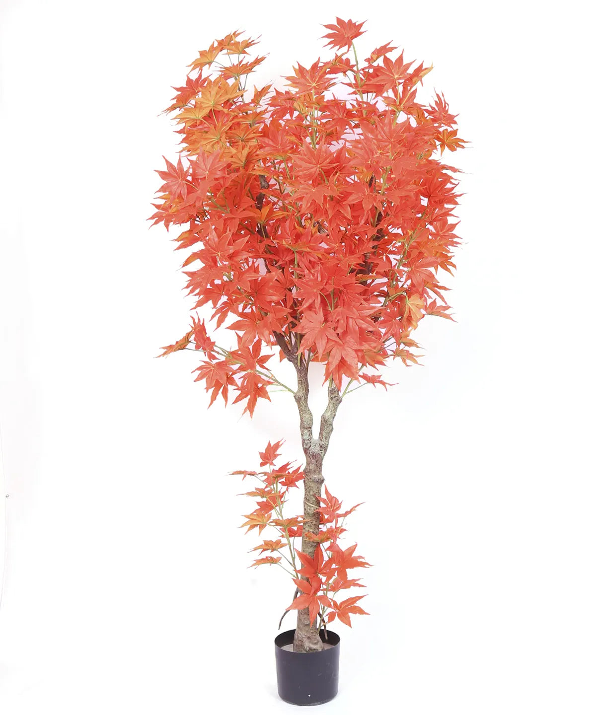 Artificial Dried Maple Plant with Basic Black Pot - 6 Feet Tall Orange Leaves