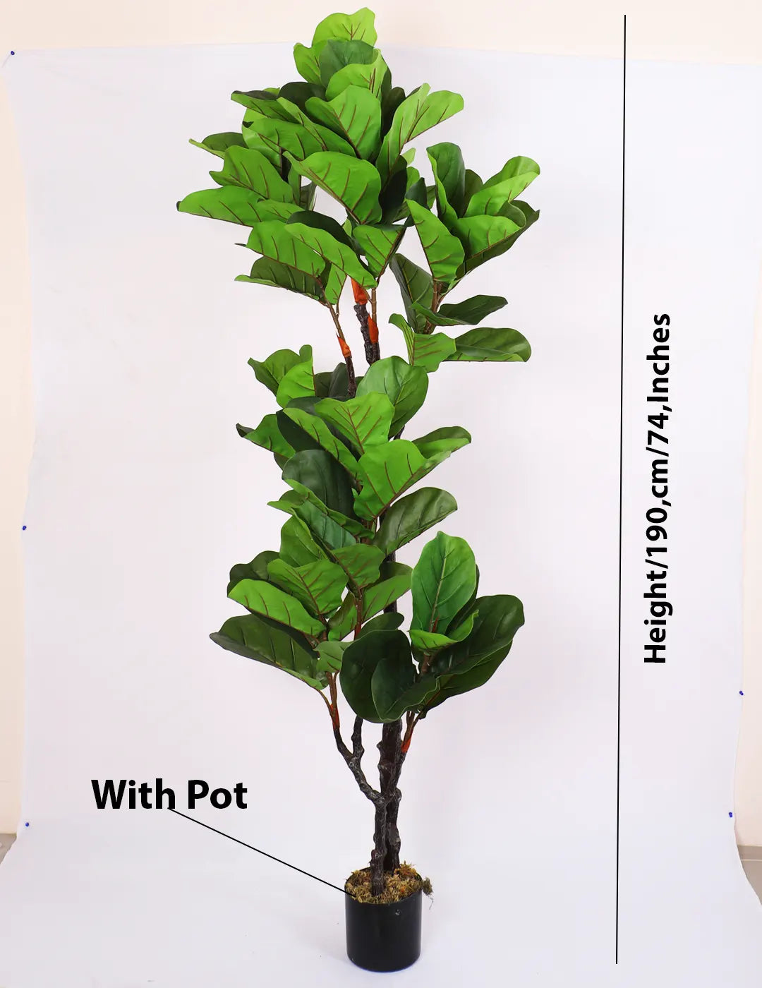 Artificial Fiddle Leaf Fig Plant with Basic Black Pot - 190 cm tall -Green