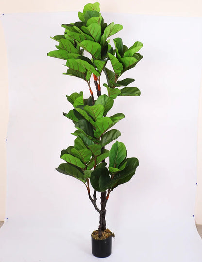 Artificial Fiddle Leaf Fig Plant with Basic Black Pot - 190 cm tall -Green