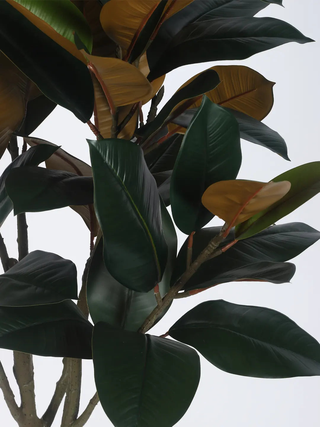 Artificial Magnolia Leaf Plant with Basic Black Pot - 140 cm Tall