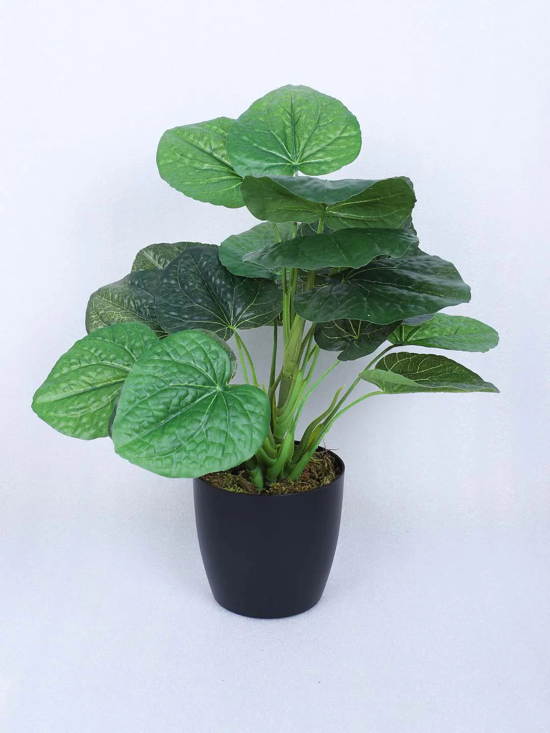 Artificial Miniature PVC Silk Jatropha Leaf Green Floor Plant with Big Leaves with Pot (55 cm Tall, Green)