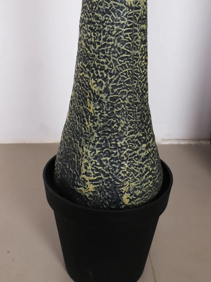 Artificial Bottle Yucca Plants in a Black Vase (230 cm Tall, Green)