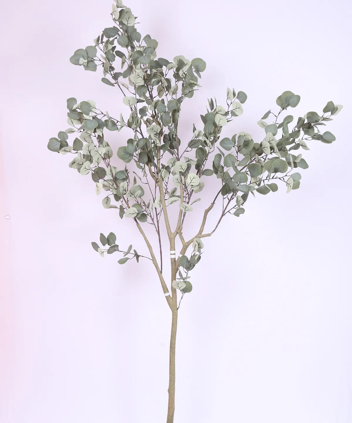 Artificial Eucalyptus potted plant, outdoor and indoor (180 cm Tall, Green)