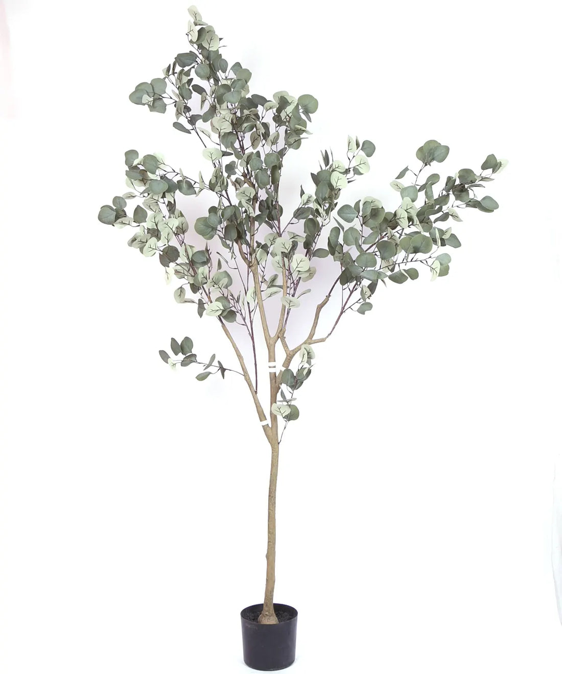 Artificial Eucalyptus potted plant, outdoor and indoor (180 cm Tall, Green)