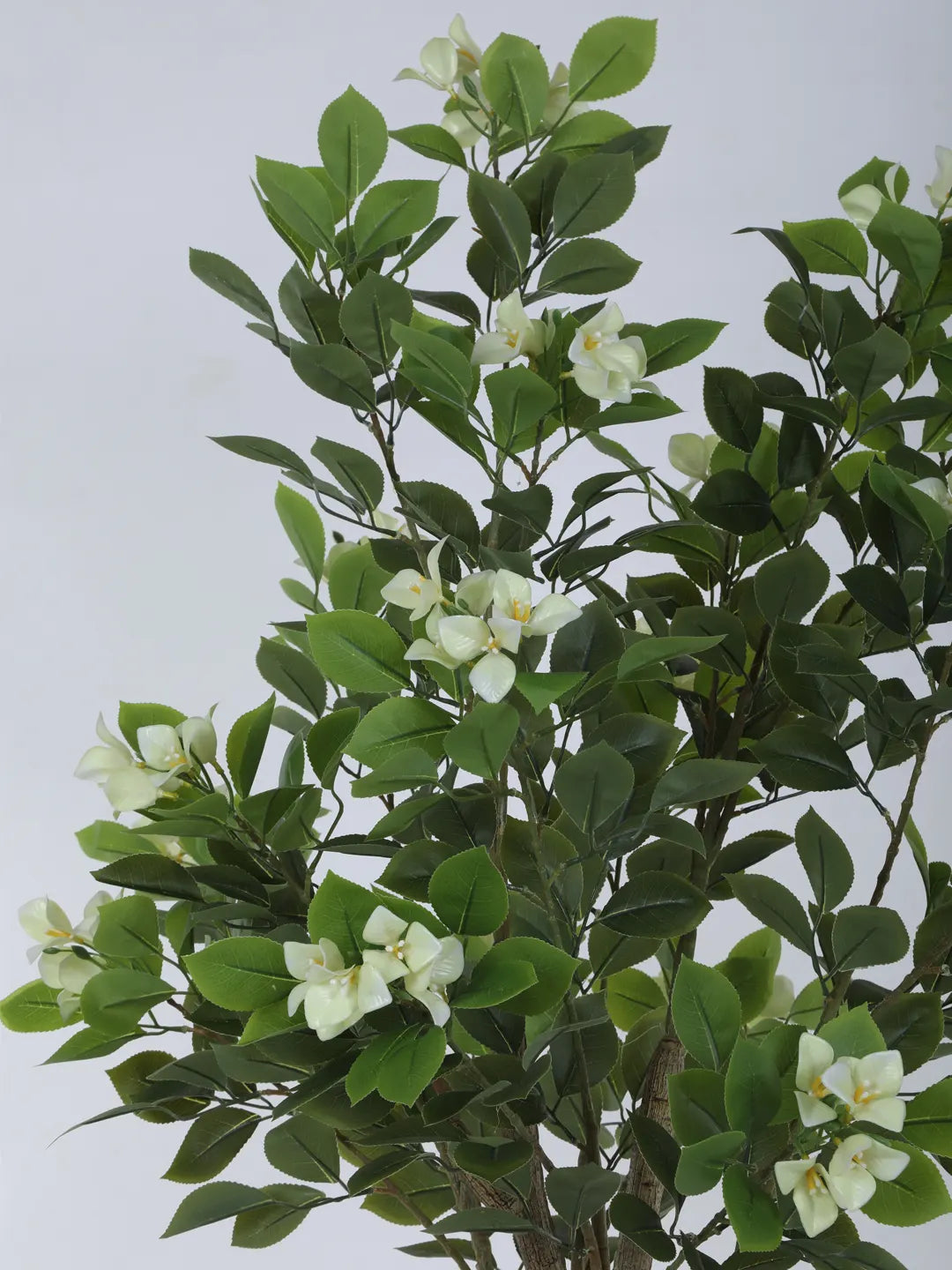 Artificial Bougainvillea Flowers Plants with Pot -180 cm Tall, Green/White