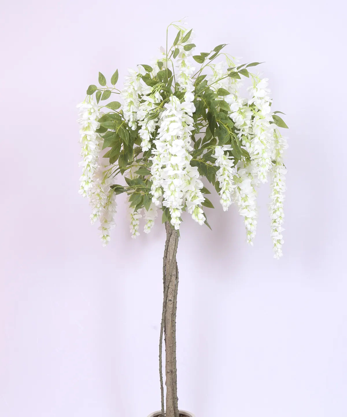 Artificial Wisteria Orchid Flowers Plants For with Basic Black Pot- 5.5 Feet - White