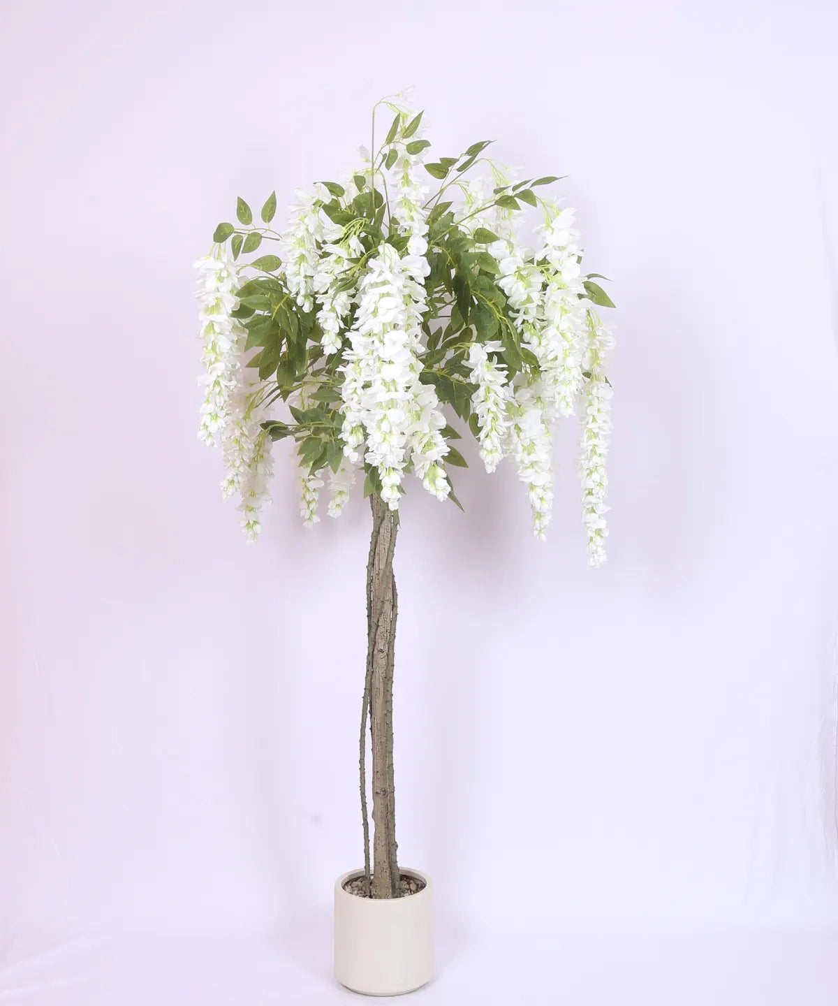 Artificial Wisteria Orchid Flowers Plants For with Basic Black Pot- 5.5 Feet - White