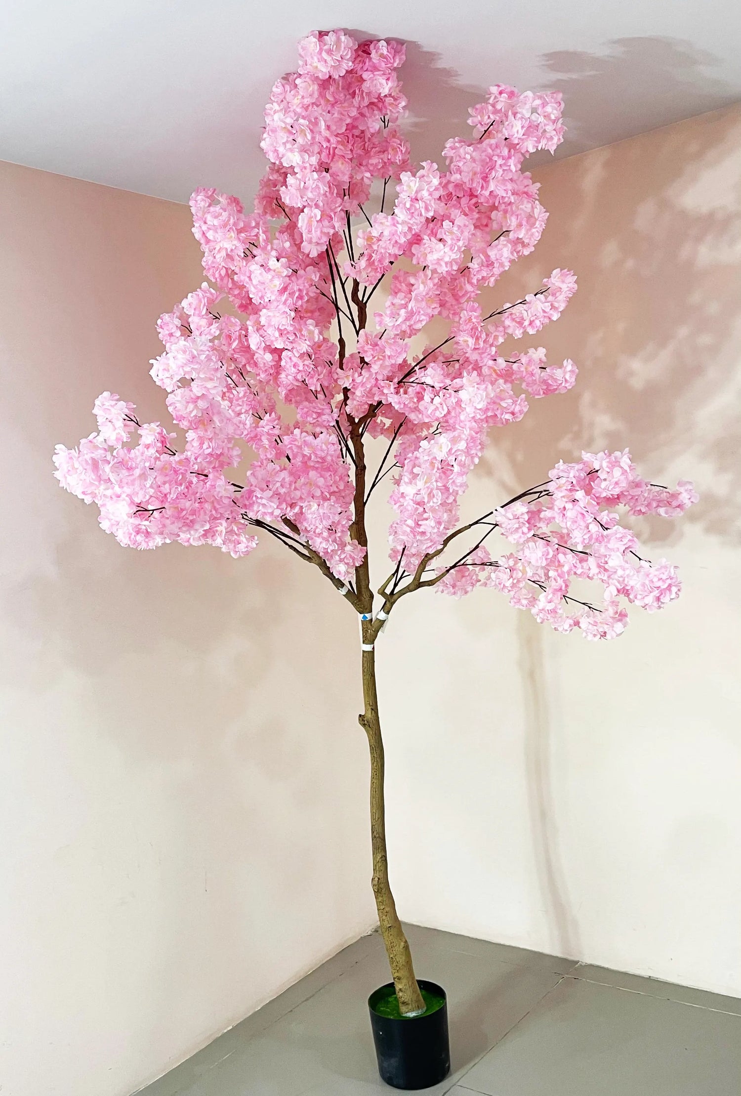 Artificial Blush Pink Cherry Blossom Plant With Black Pot- 7.8 Feet Tall