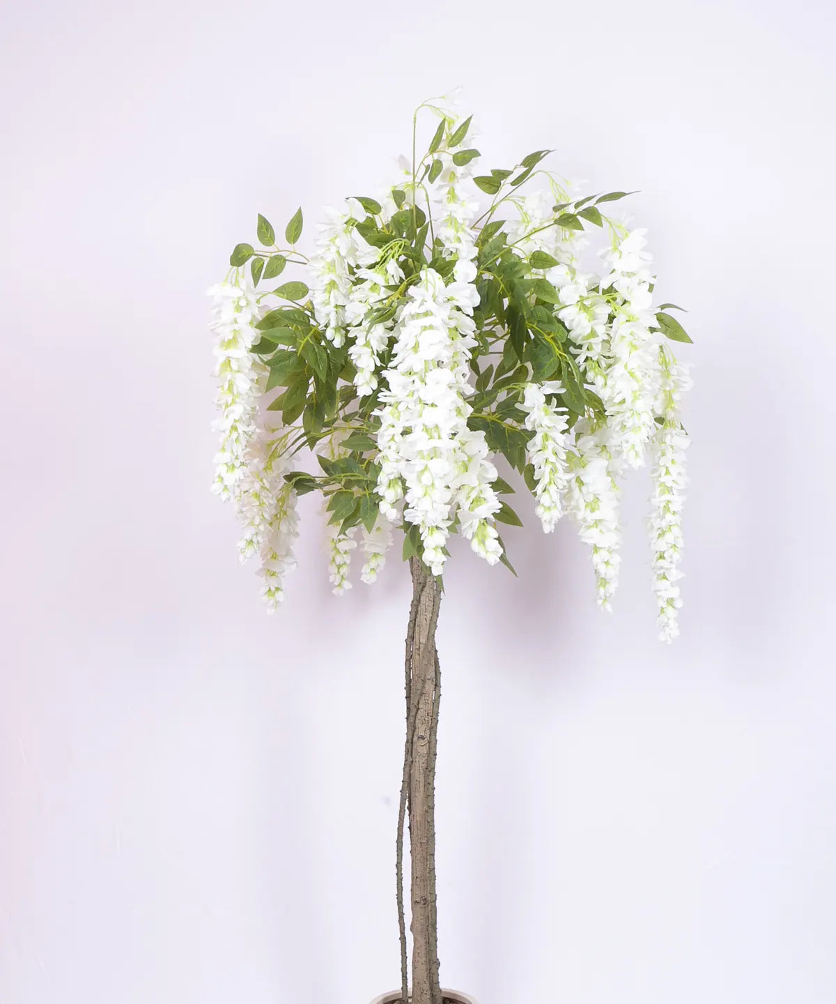Artificial Wisteria Orchid Flowers Plants For with Basic Black Pot- 5.5 Feet - White