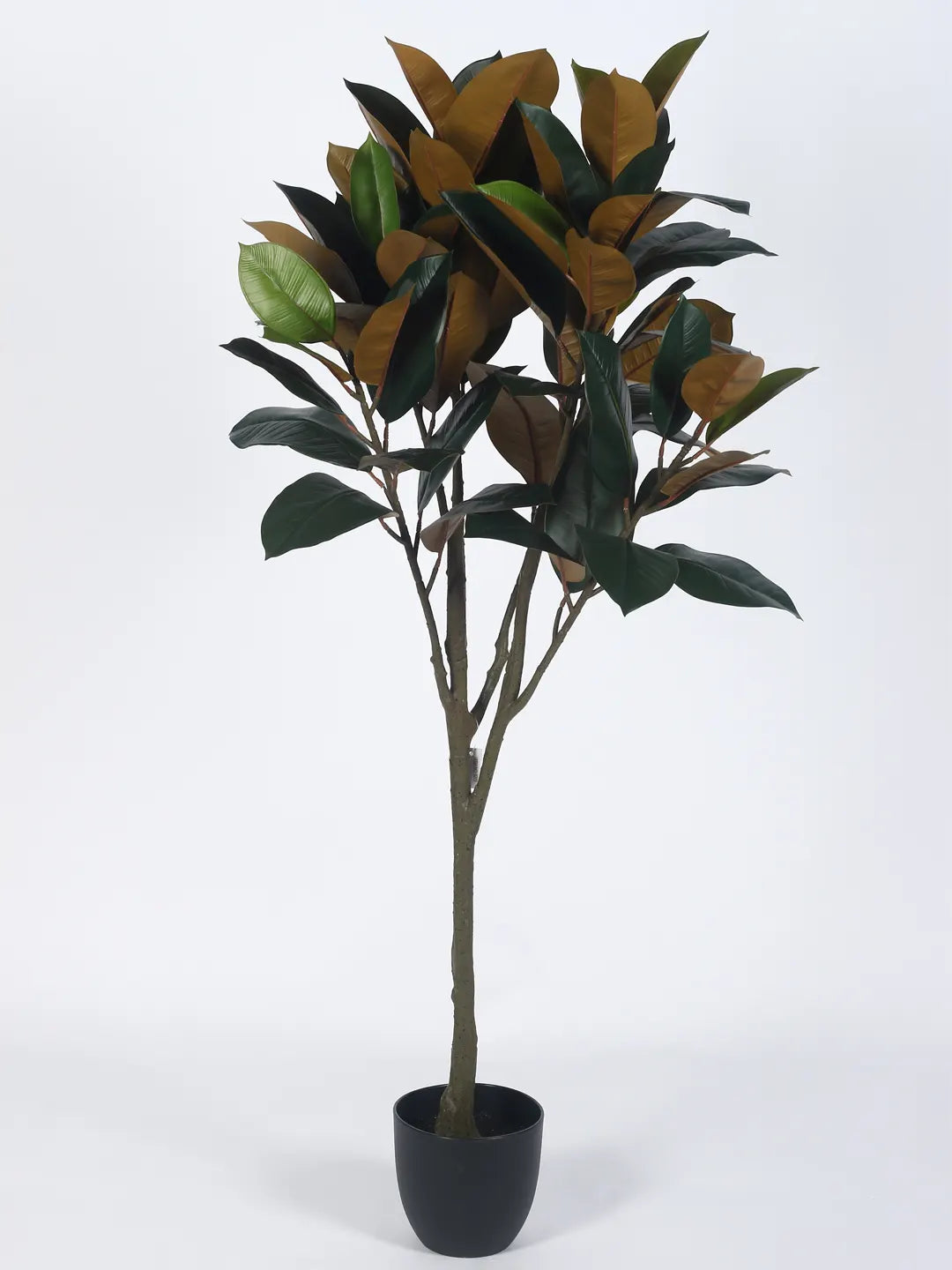 Artificial Magnolia Leaf Plant with Basic Black Pot - 140 cm Tall