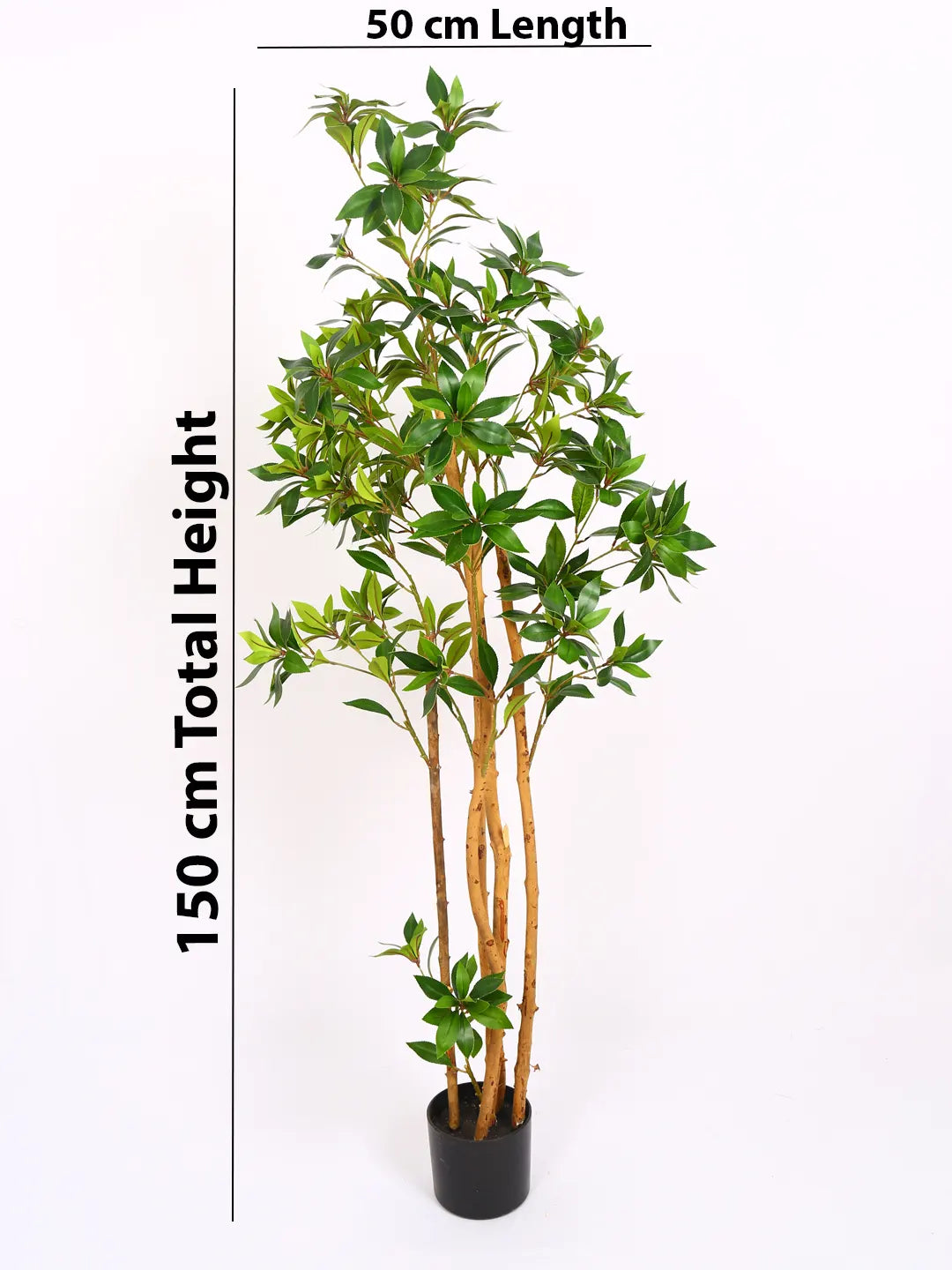 Artificial Midas Ruscus Lush Plant with Basic Black Pot - 5 Feet