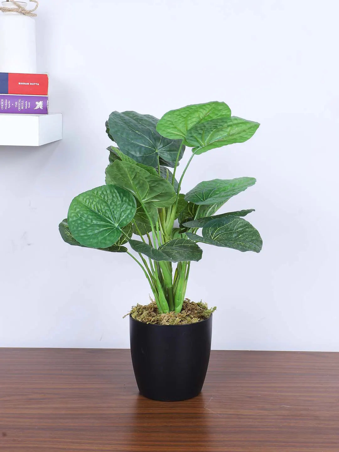 Artificial Miniature PVC Silk Jatropha Leaf Green Floor Plant with Big Leaves with Pot (55 cm Tall, Green)