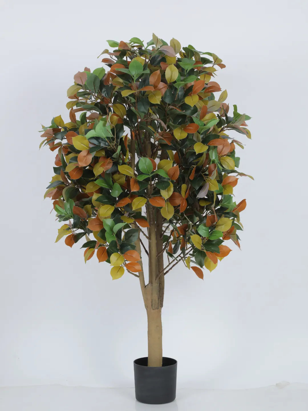 Artificial Multicolor Magnolia Grandiose Ficus Plant with Basic Black Pot - 4 Feet