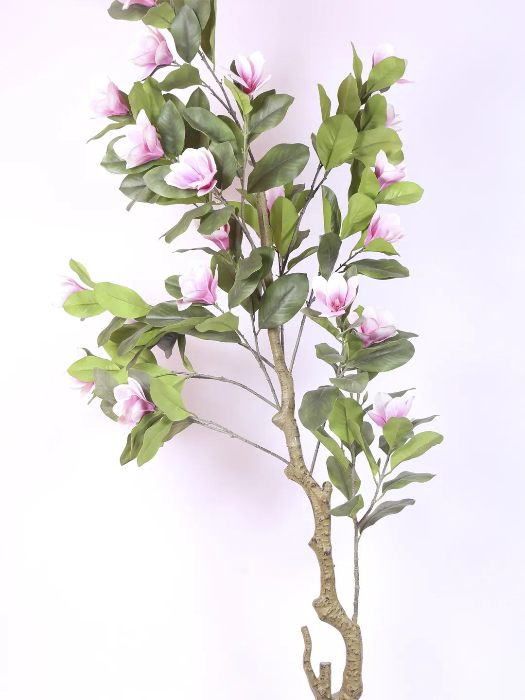 Artificial Magnolia Leaf Flowers Plant with Basic Black Pot - 200 cm Tall, Pink