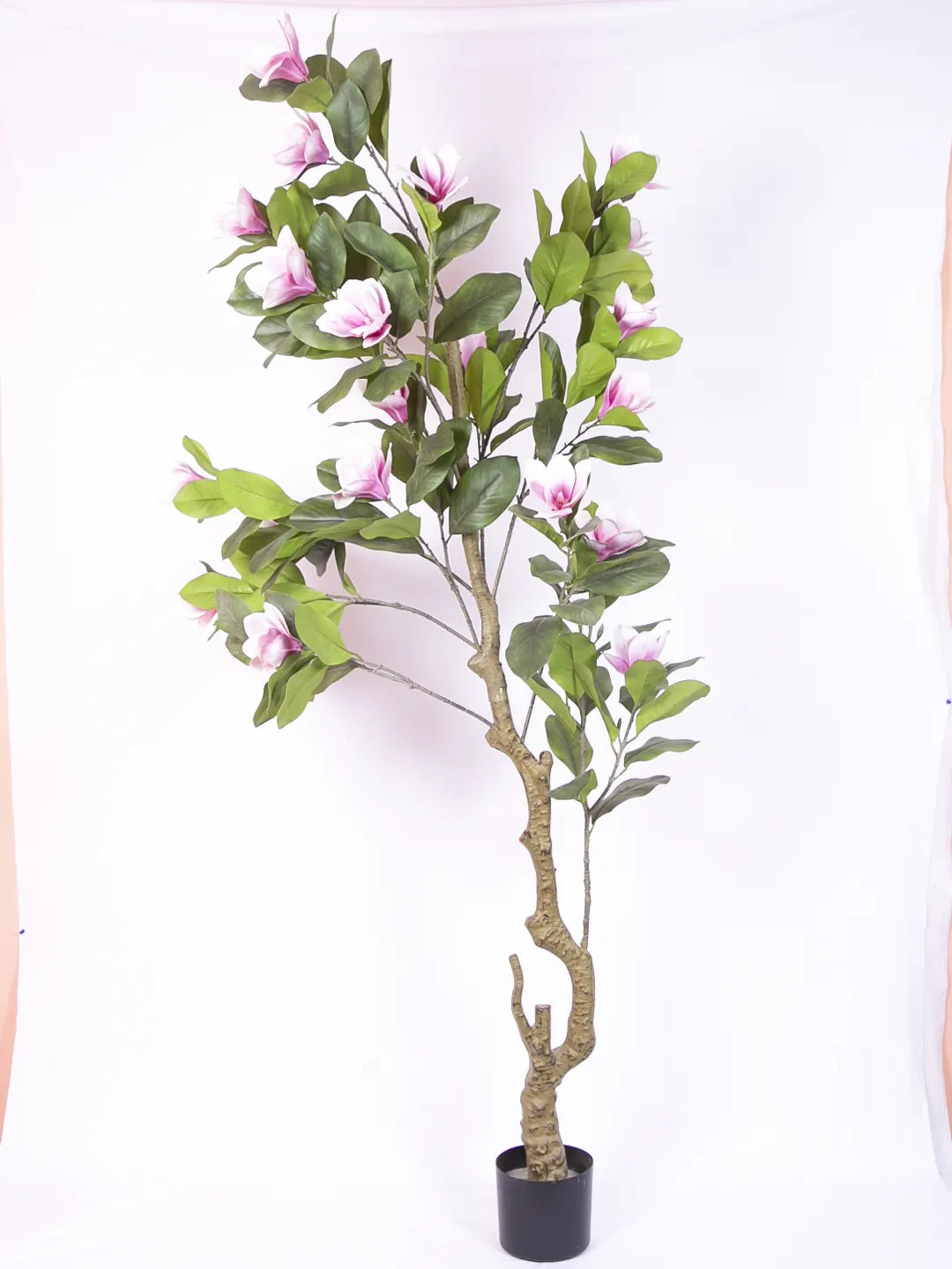 Artificial Magnolia Leaf Flowers Plant with Basic Black Pot - 200 cm Tall, Pink