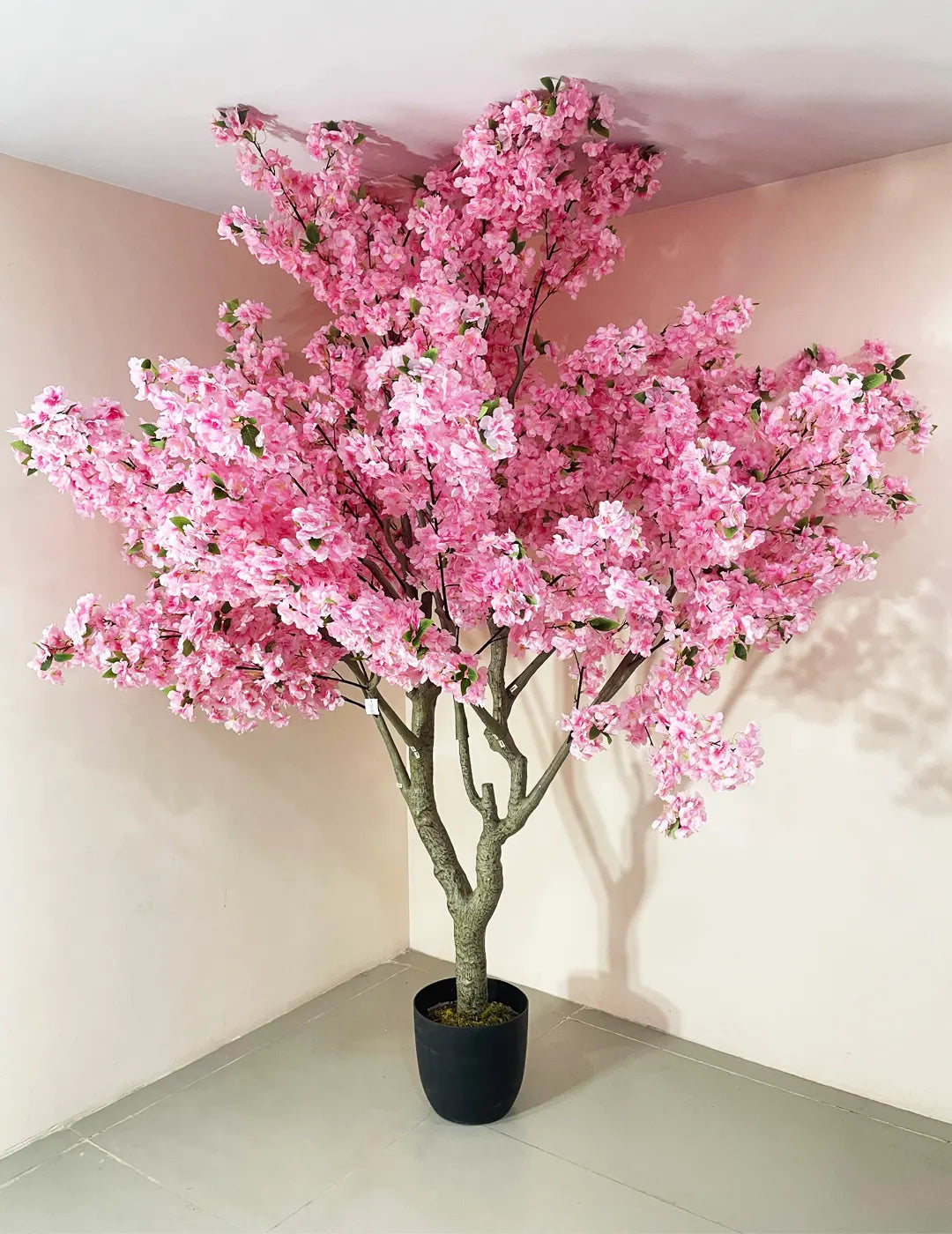 Artificial Blush Pink Cherry Blossom Plant With Black Pot- 8 Feet Tall