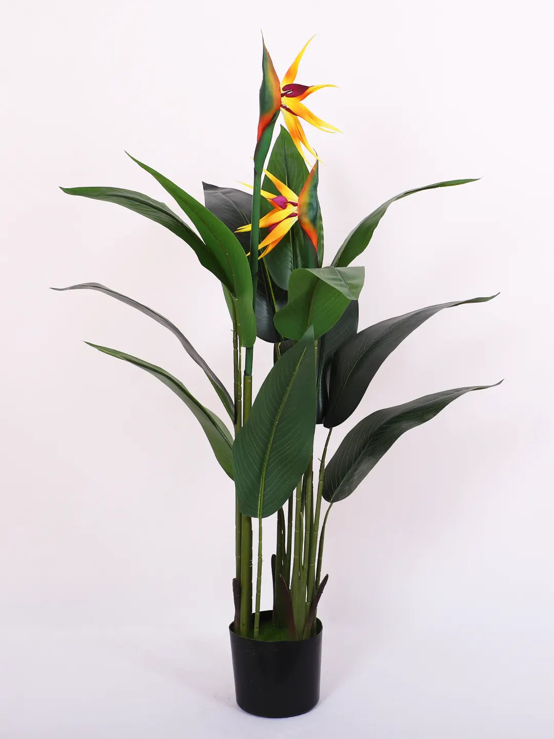 Artificial Birds of Paradise Plant with Basic Black Pot - 120 cm Tall
