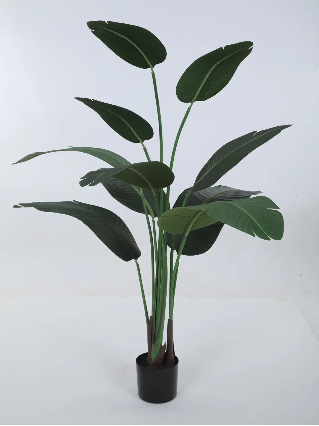 Artificial Cavendish Traveller Plant with Basic Black Pot - 5 Feet Tall, Dark Green Leaves
