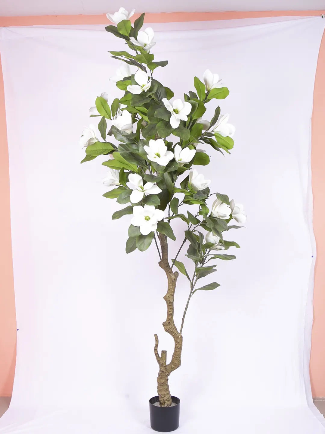 Artificial Magnolia Leaf Flowers Plant with Basic Black Pot - 200 cm Tall, White