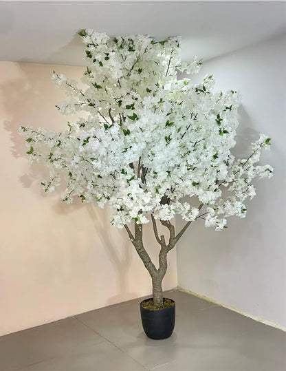 Artificial Blush White Cherry Blossom Plant With Black Pot- 8 Feet Tall