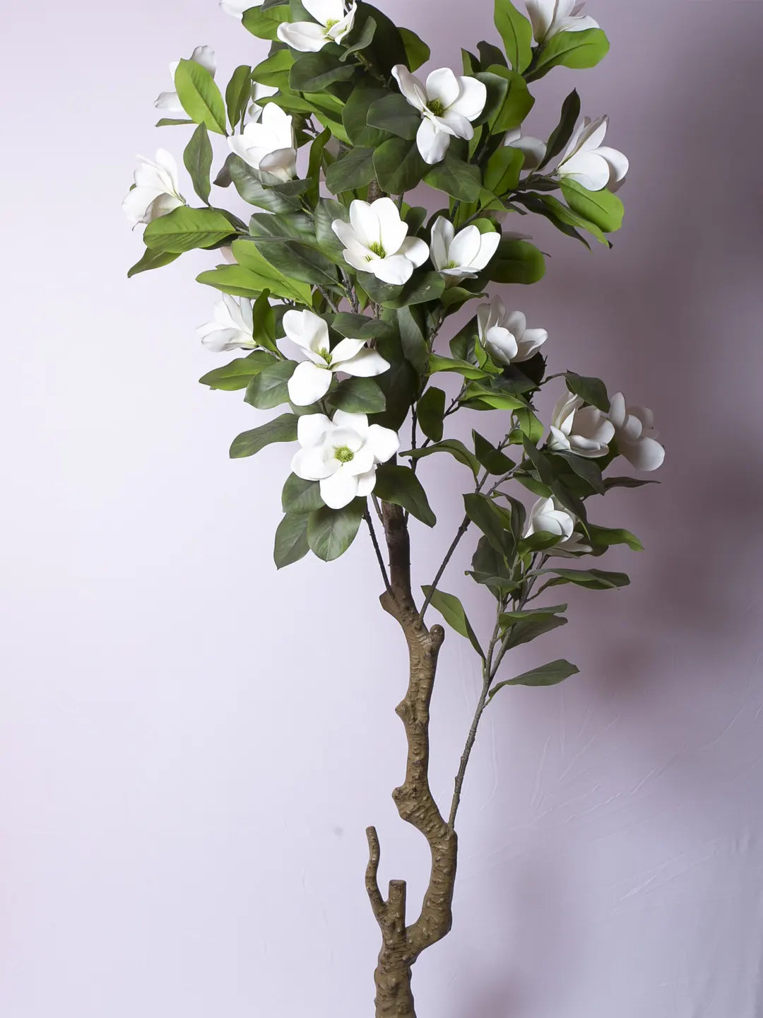 Artificial Magnolia Leaf Flowers Plant with Basic Black Pot - 200 cm Tall, White