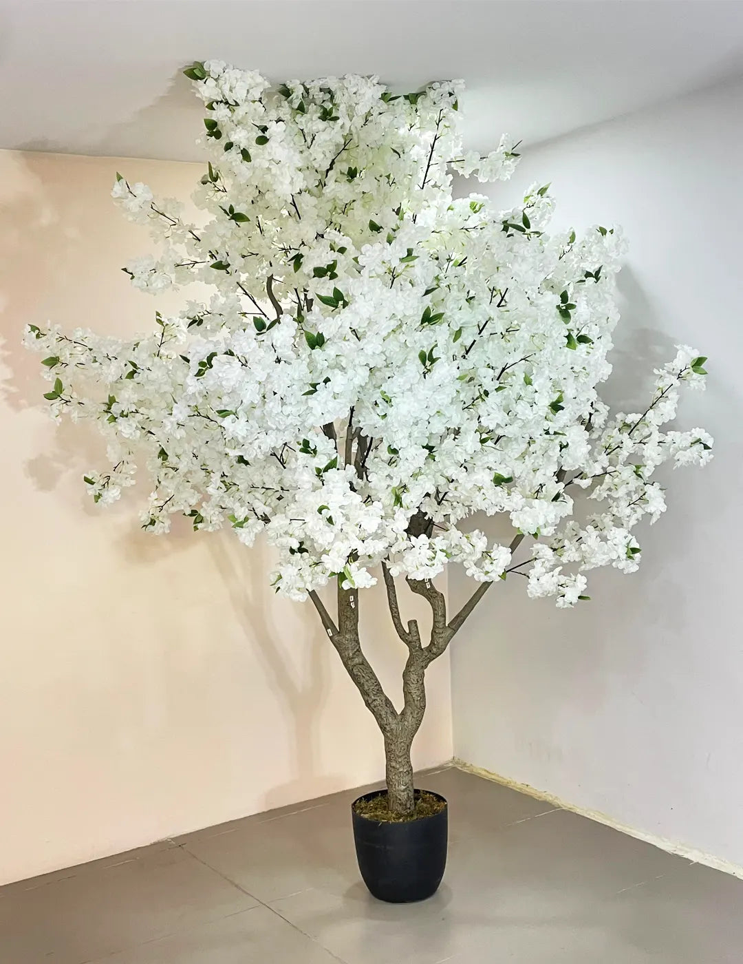 Artificial Blush White Cherry Blossom Plant With Black Pot- 8 Feet Tall